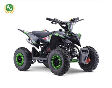 Excite 50cc Premium Kids Mini Petrol Quad Bike